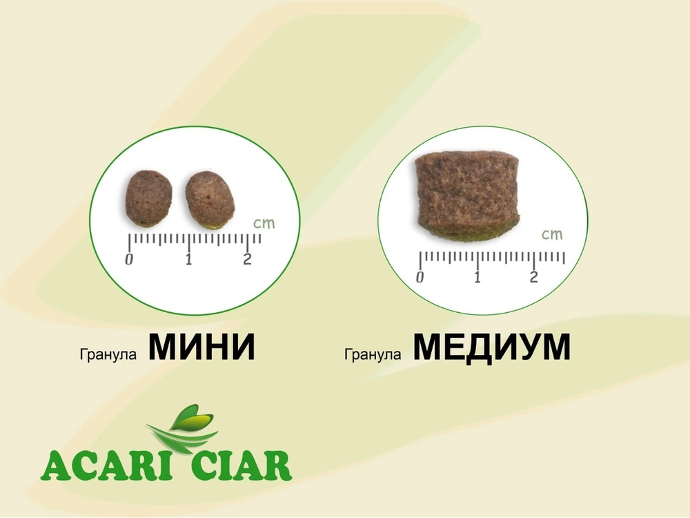 Гранулы