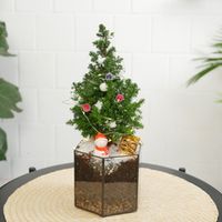 Подарки до 5000р