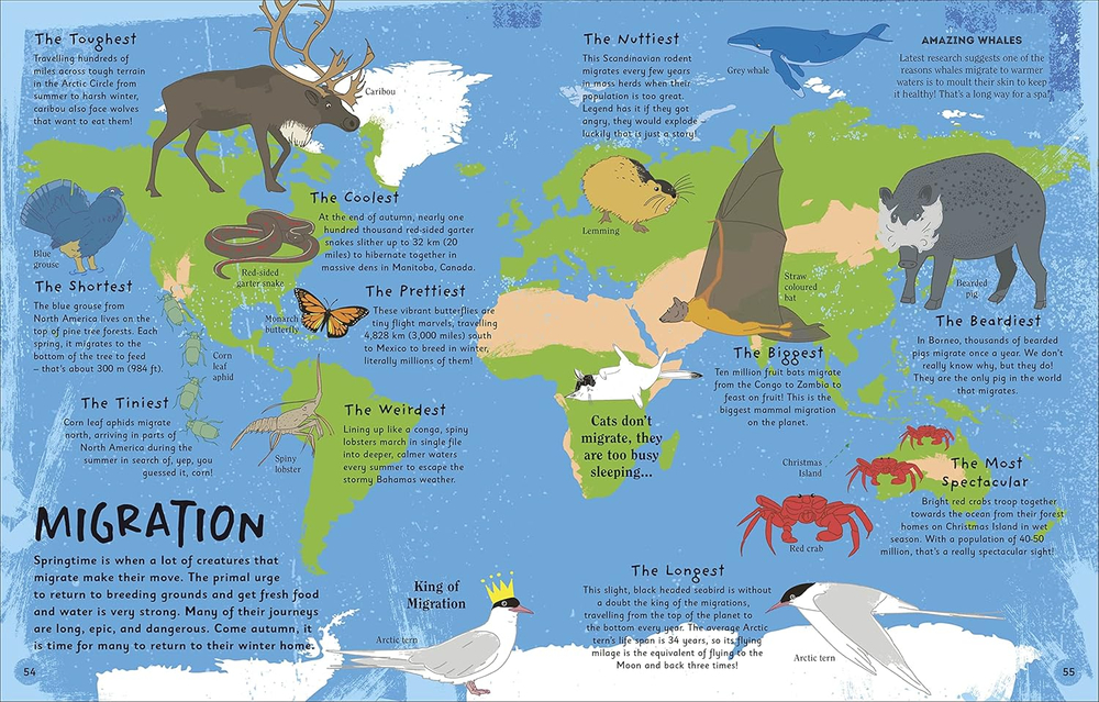 The Magic of Seasons: A Fascinating Guide to Seasons Around the World Hardcover