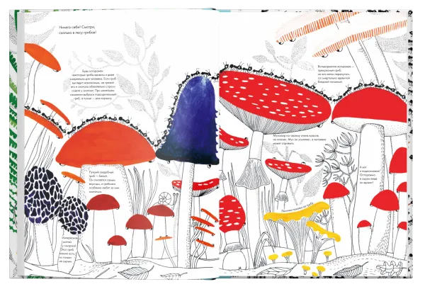 Тысяча и один муравей