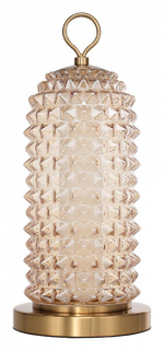 Настольная лампа декоративная ST-Luce SAGUARO SL6144.304.01