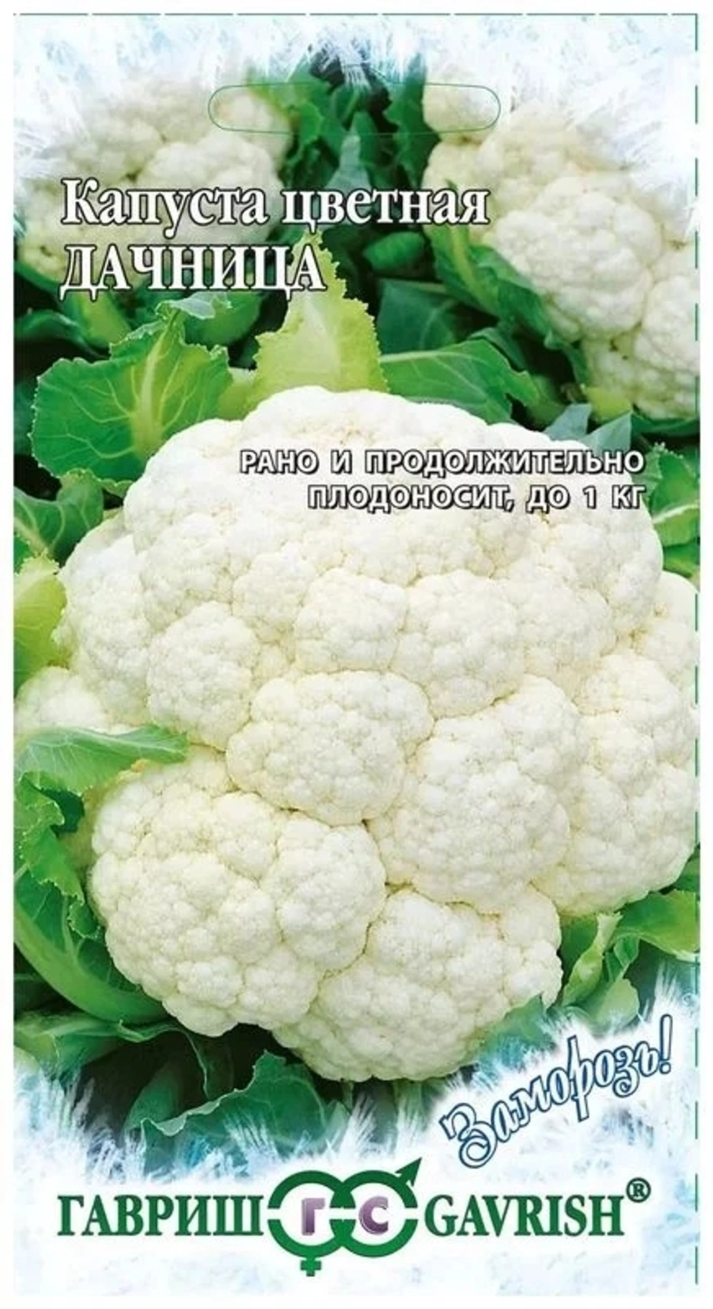 Капуста цветная Дачница