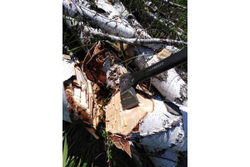 Топор-колун PATRIOT T21 PA 711 Logger 777001330