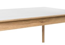 Стеклянный стол Арья 120х80х74 дуб монтана / белый