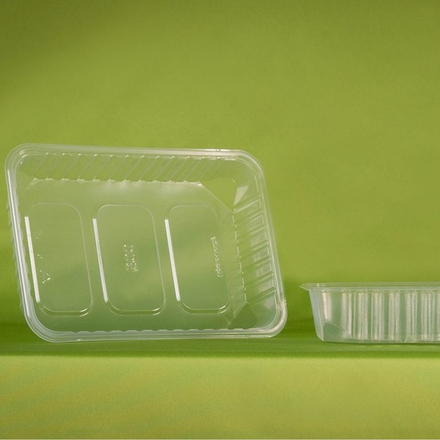 Контейнер с крышкой ПЛОСКИЙ (100шт/5уп) УПАКС-ЮНИТИ