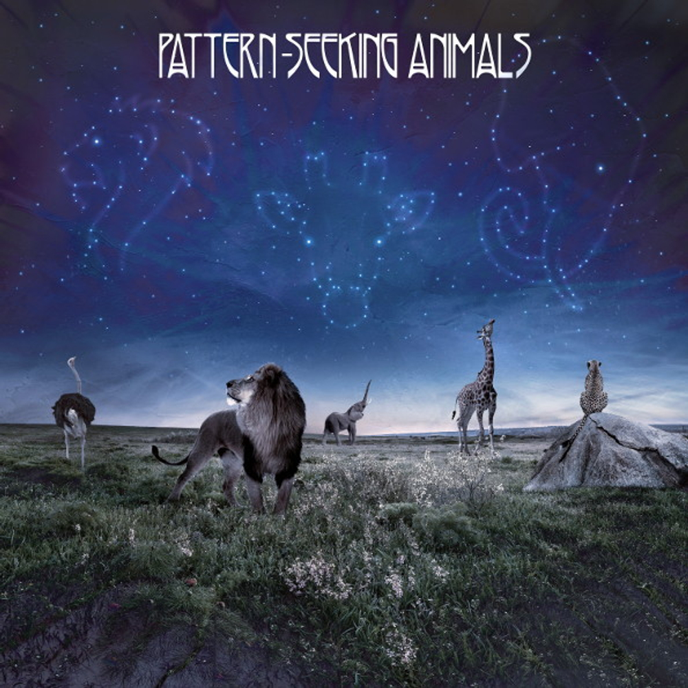 Pattern-Seeking Animals / Pattern-Seeking Animals (2LP+CD)