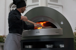 Печь для пиццы на дровах и газе ALFA PIZZA Opera