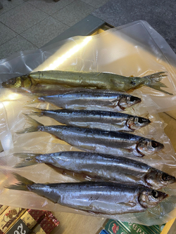 Омуль вяленый 150г шт