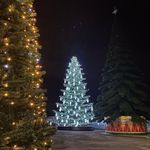 Светодинамическая елка ствольная со скамейкой, встроенная гирлянда: Холодный свет - "Лесная" (Литая хвоя) 12 м