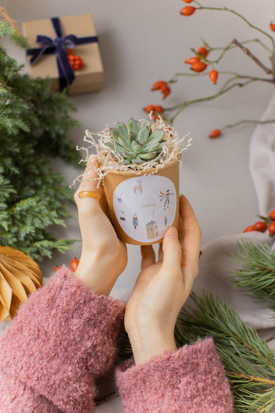 Живые открытки. Корпоративный подарок.