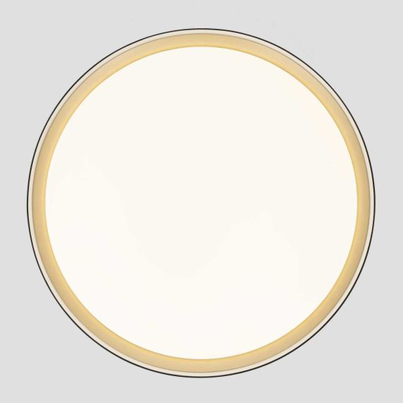 Потолочный светодиодный светильник Citilux Boss CL751451G