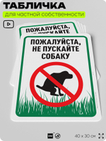 Табличка для частной территории "Пожалуйста, не пускайте собаку", на дом, для участка, организаций и частных территорий, предупреждающая, 40х30 см, Silver Plane x Айдентика Технолоджи