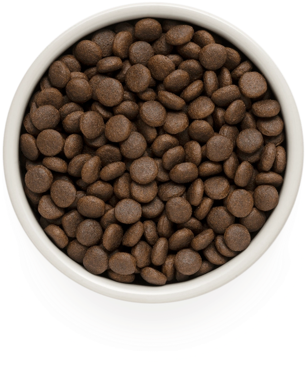 GRANDORF Кролик с индейкой Для средних и крупных пород