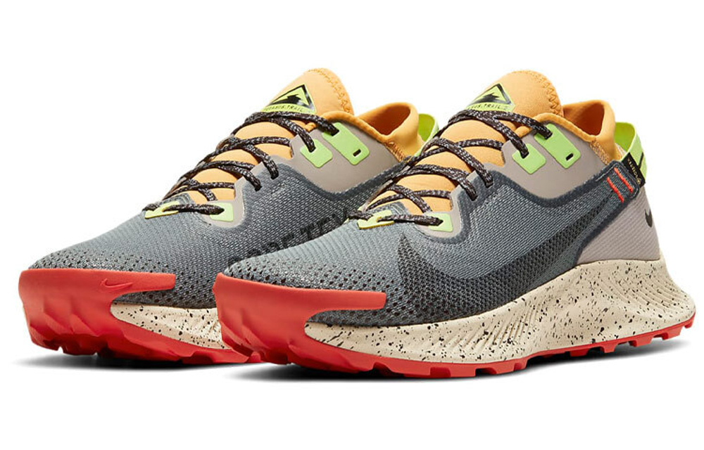 Кроссовки Nike Pegasus Trail 2 Gore-Tex