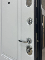 Дверь входная Арктика