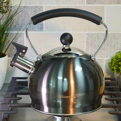 Чайник 2л нерж со свистком, ручка с нейлоновой вставкой