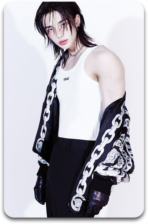 Карта / STRAY KIDS #3210