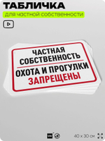 Табличка для частной территории "Частная собственность, охота и прогулки запрещены", на дом, для участка, организаций, предупреждающая, 40х30 см, Silver Plane x Айдентика Технолоджи