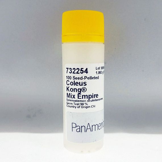 КОЛЕУС БЛЮМЕ KONG MIX EMPIRE (PanAmerican | Alexagro)