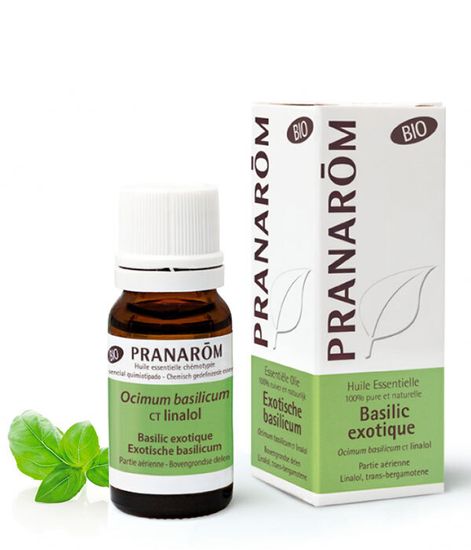 Натуральное эфирное масло Базилик БИО, Pranarom