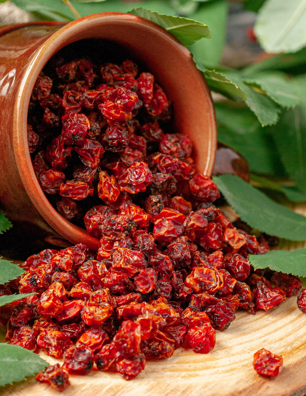 Рябина Алтайская "Зимняя"