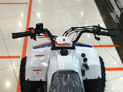 YACOTA RAPOSA 110 (белый)