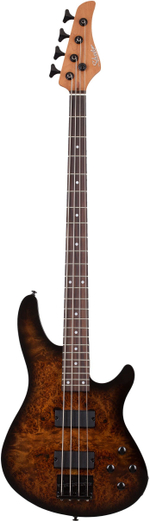 Бас-гитара Schecter C-4 Standard