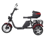 Электроскутер SKYBOARD CITYCOCO TRIKE BR80