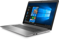 Ноутбук 17,3" HP 470 G7 (1F3K5EA)