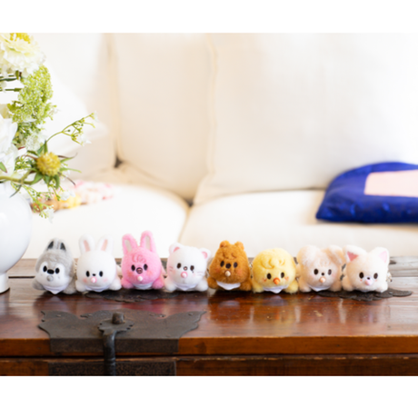 Секретный плюш SKZOO SECRET WIND-UP PLUSH - RUN IT
