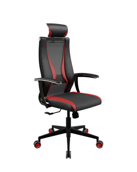 SynchroSit 10 B2-170U - T+UMF(SY271)+Extra /Kb38/Wh09/U0mL-b/H13mL-Pf-1DF(M20.B11.G19.W32)