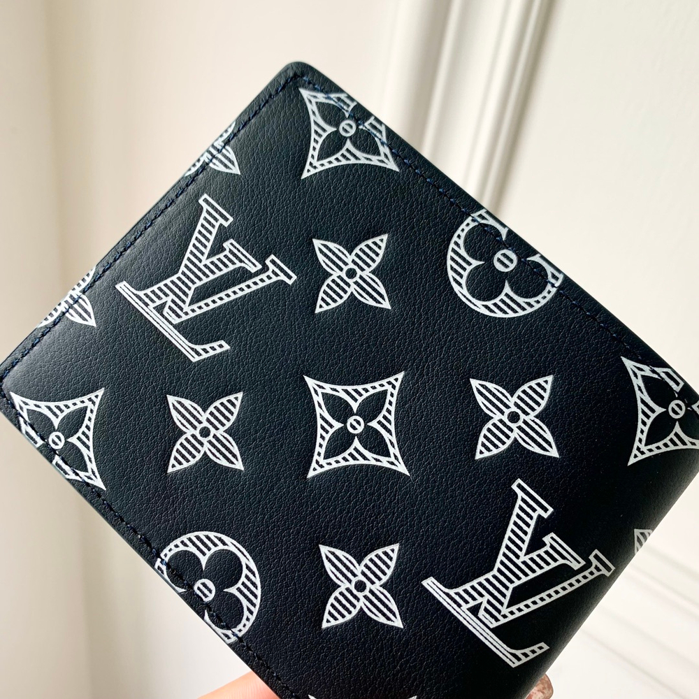 Louis Vuitton Multiple Wallet