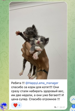 Когтеточки, игрушки, наполнители