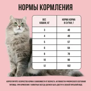 Сухой корм BOWL WOW для взрослых кошек с индейкой и яблоком