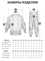 Спортивный костюм для мальчика, свитшот и брюки