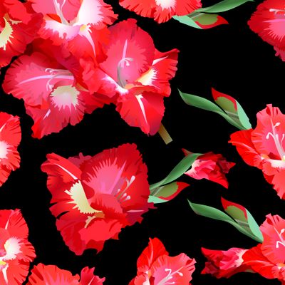 Красные гладиолусы на черном фоне.