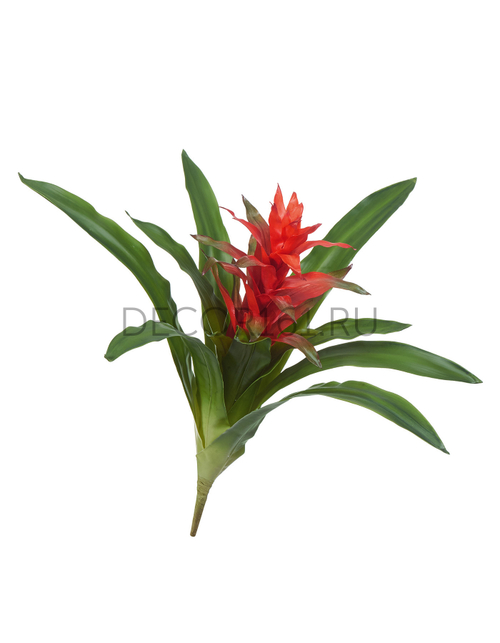 Гусмания с красным цветком в-55, д-58 см 6/36 30.0309021RD