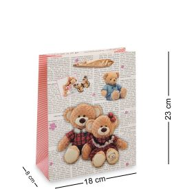 Z-21-1 Пакет малый