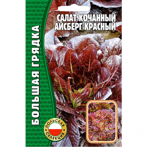 Салат кочанный Айсберг красный (1000 сем)
