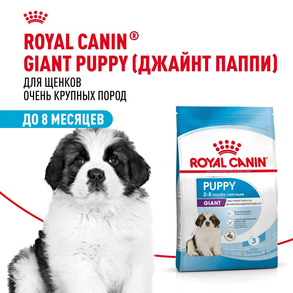 Royal Canin Giant Puppy Корм сухой для щенков очень крупных размеров 3,5 кг
