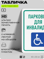 Табличка для парковки "Парковка для инвалидов", для дома, офиса, организаций, 40х30 см, Silver Plane x Айдентика Технолоджи