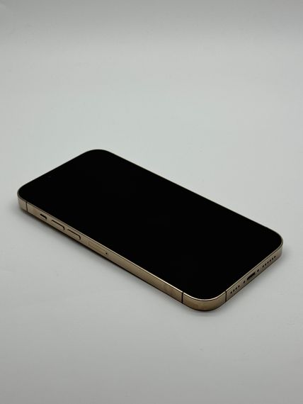 iPhone 13 Pro Max 1TB Gold