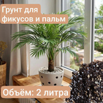 Авторский грунт для Фикусов и Пальм 2 литра