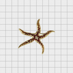 "Мор.звезда" колье в золотом покрытии из коллекции "Красное море" от Jenavi  с замком карабин