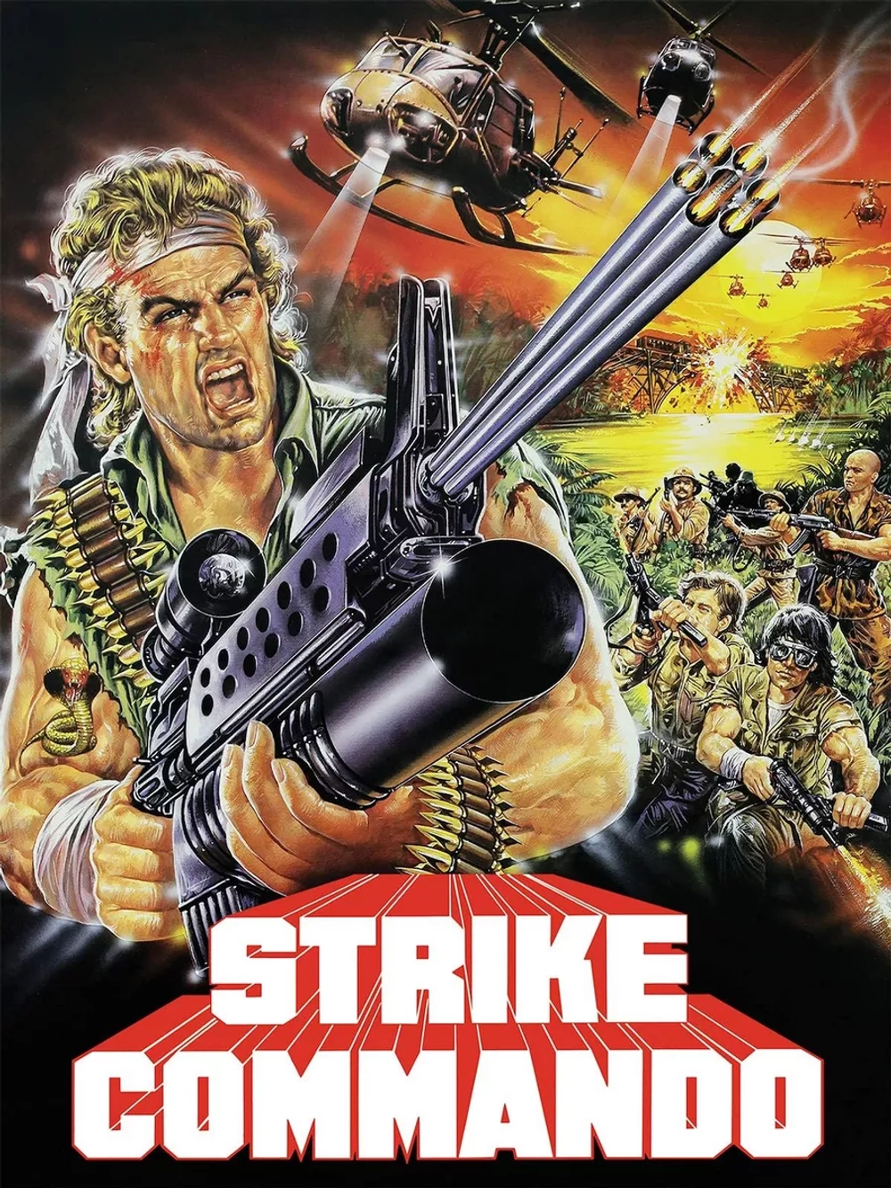 Атака коммандос (1987) (DVD-R)