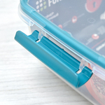 Контейнер 1,2л герметичный "Butterfly bright" (хвоя)