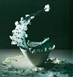 World Flower Artists 2