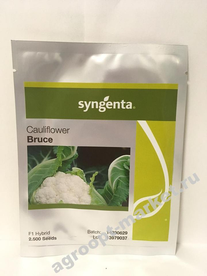 Брюс F1 семена капусты цветной (Syngenta / ALEXAGRO) упаковка – фото 3