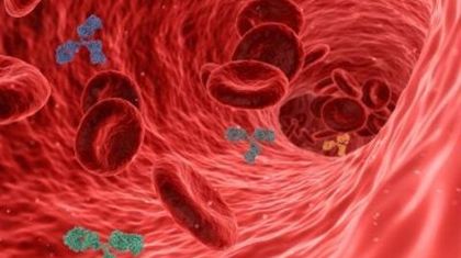 Учёные смогли напечатать кровеносные сосуды на 3D-принтере