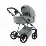 Коляска 2 в 1 Adamex Delta Nature